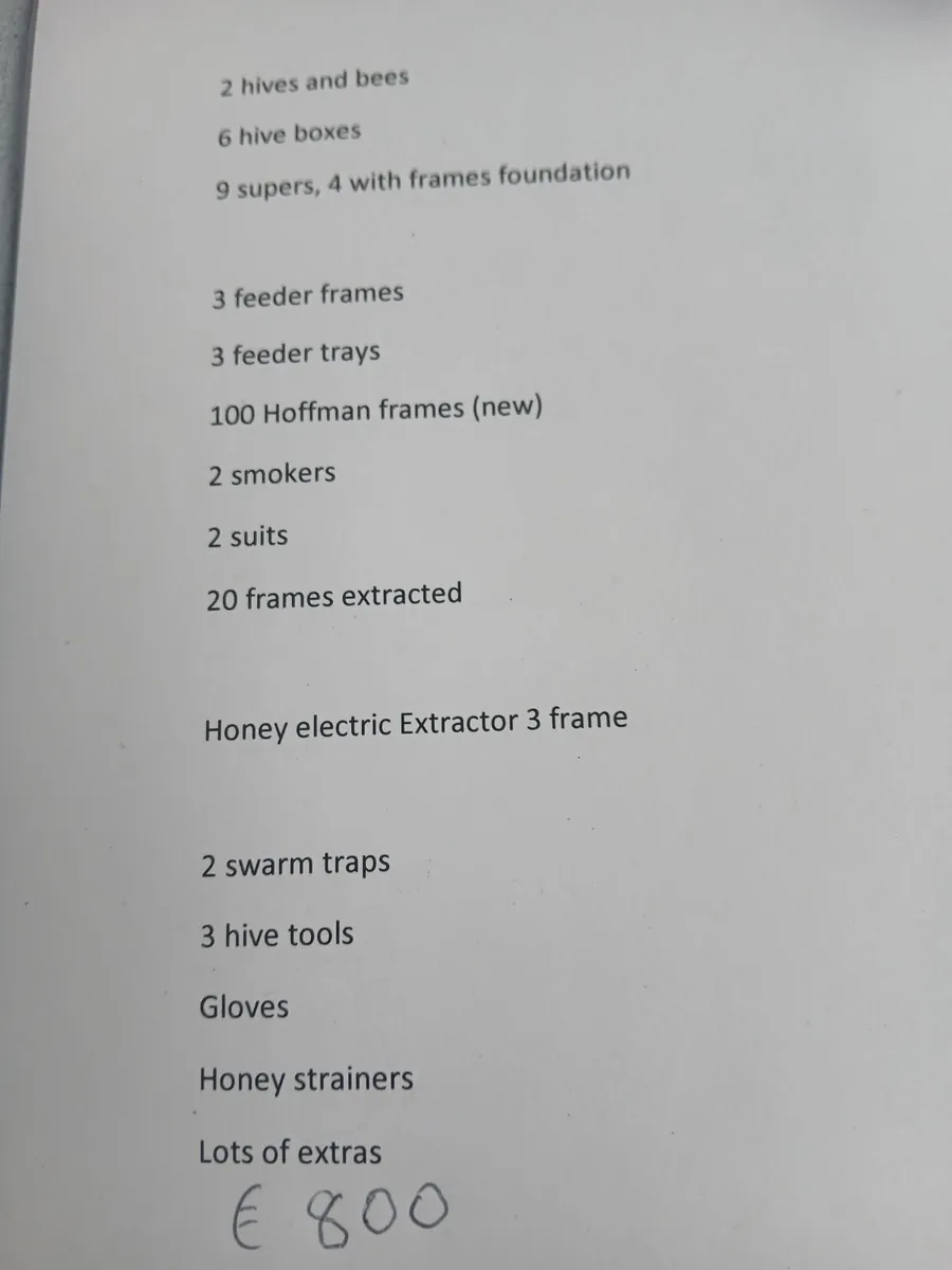 Bees - Image 4