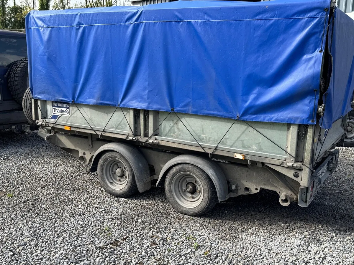 *Dry Stored* Newly Chipped Softwood Woodchip - Image 3