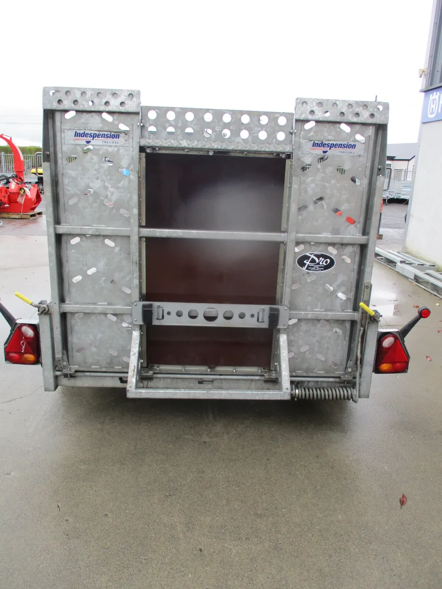 Plant Trailer Indespension 2022 - Image 3
