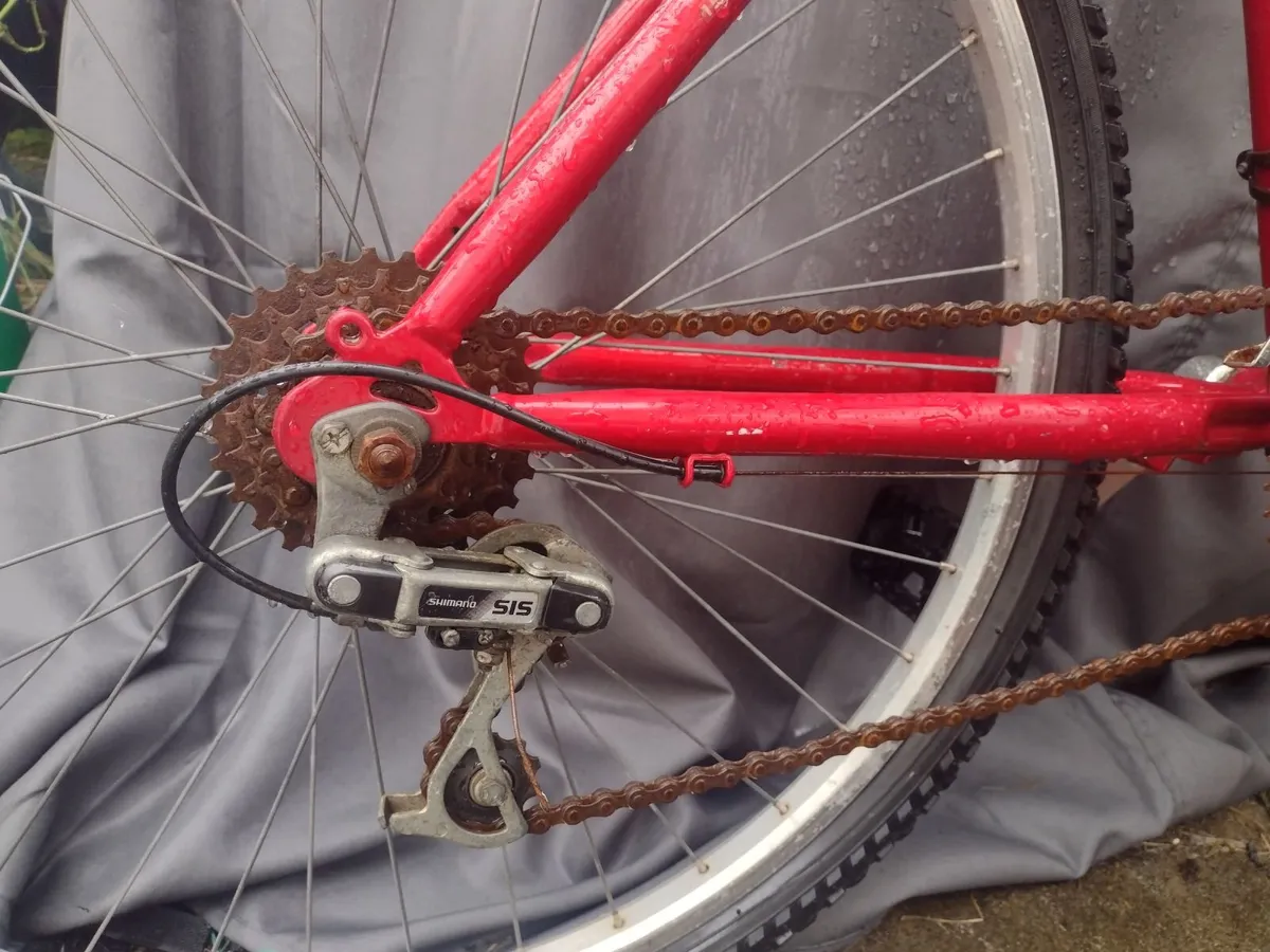 Men's vintage Raleigh mountain bike - Image 2