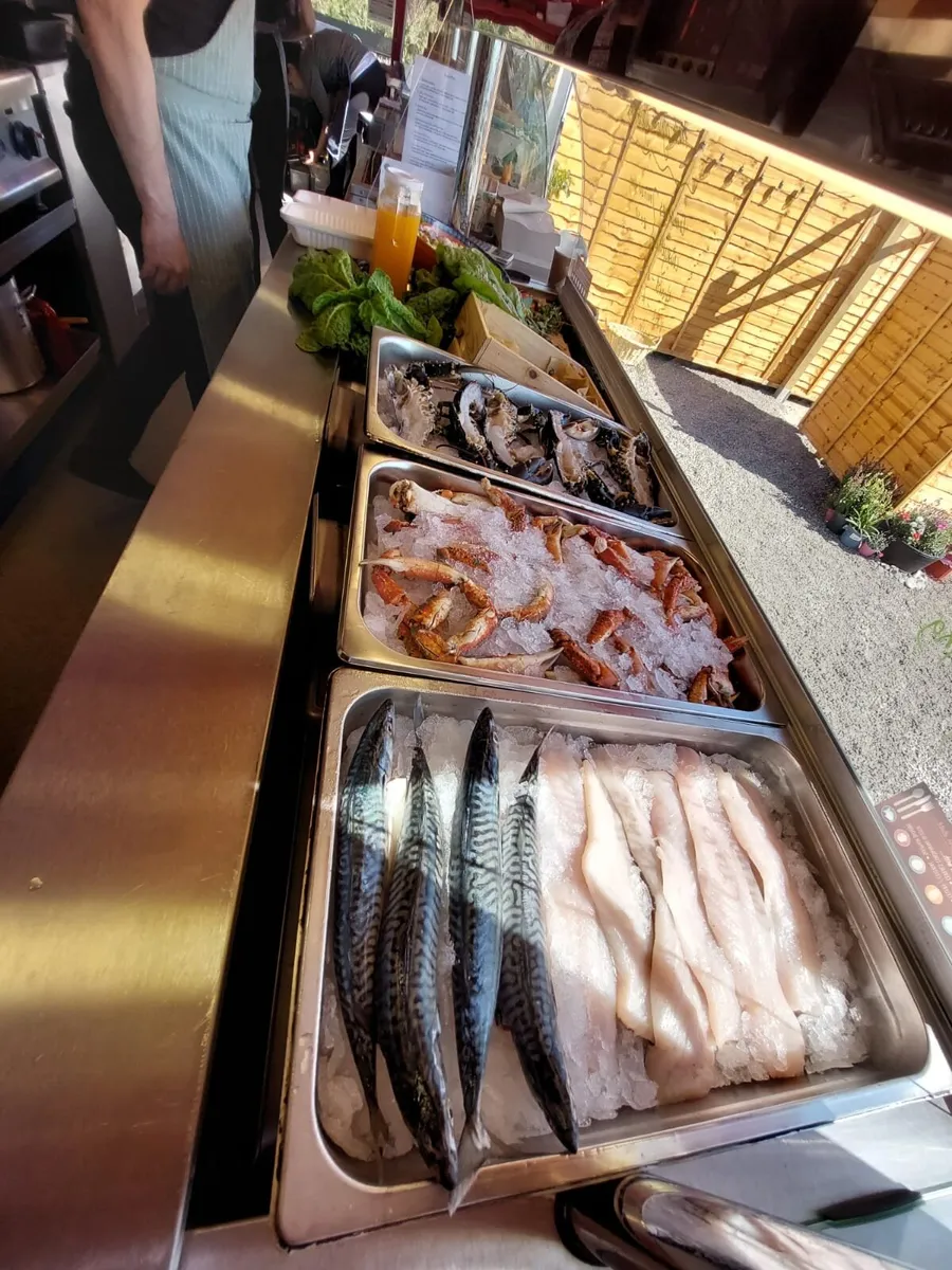 Airstream commercial Kitchen - Image 4