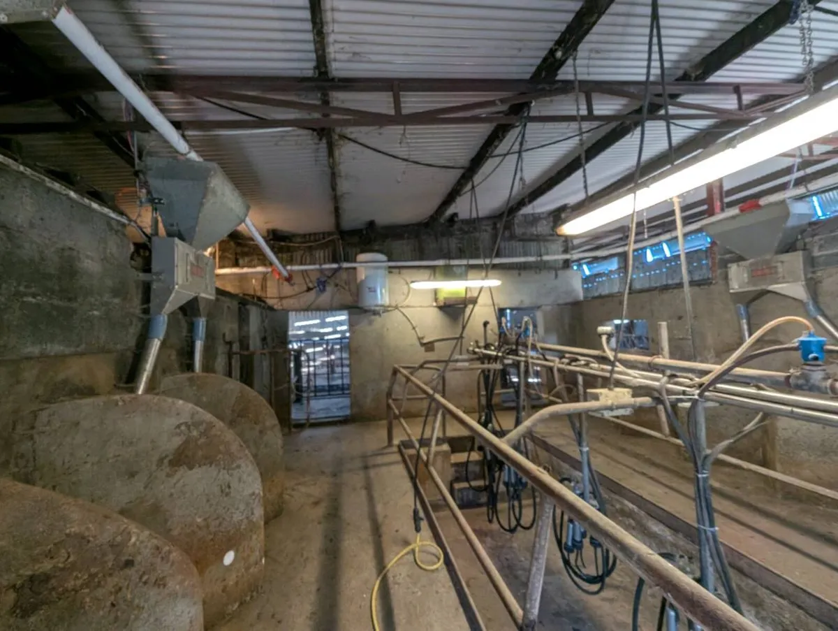 Cashman Feeders as new - Image 2
