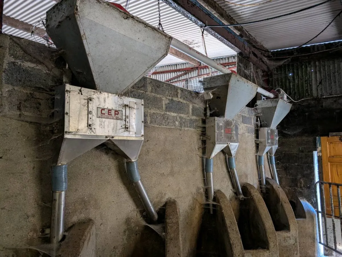 Cashman Feeders as new - Image 3