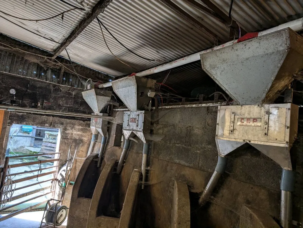 Cashman Feeders as new - Image 4