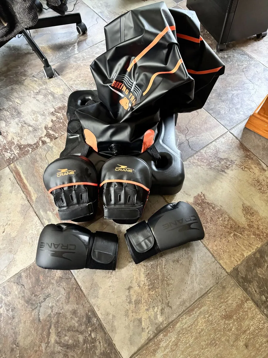 FREE Inflatable Punchbag & Gloves