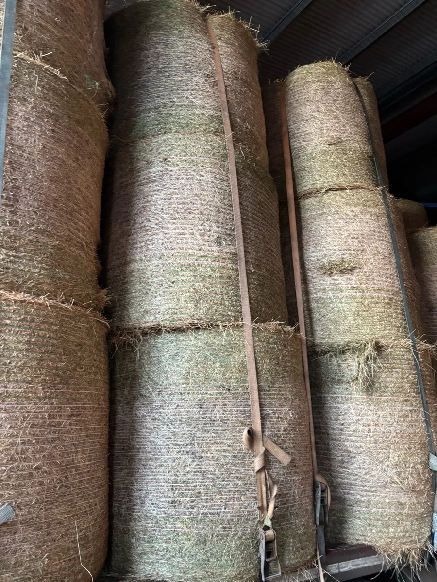 Straw and Hay - Image 1