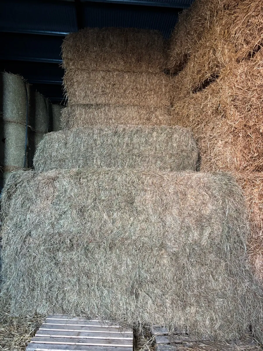 Straw and Hay - Image 2