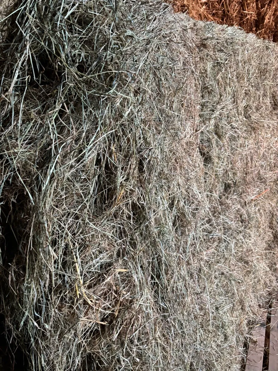 Straw and Hay - Image 3
