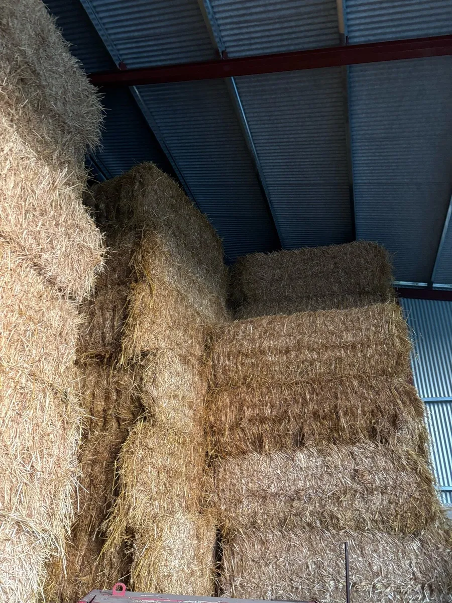 Straw and Hay - Image 4