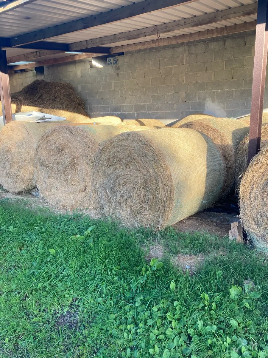 Organic hay