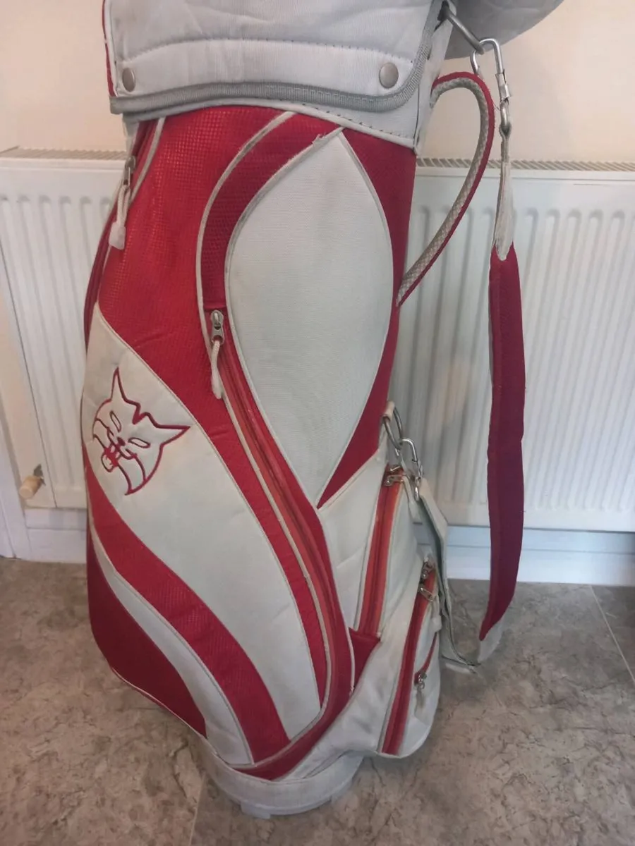 Lynx Golf cart bag. - Image 3