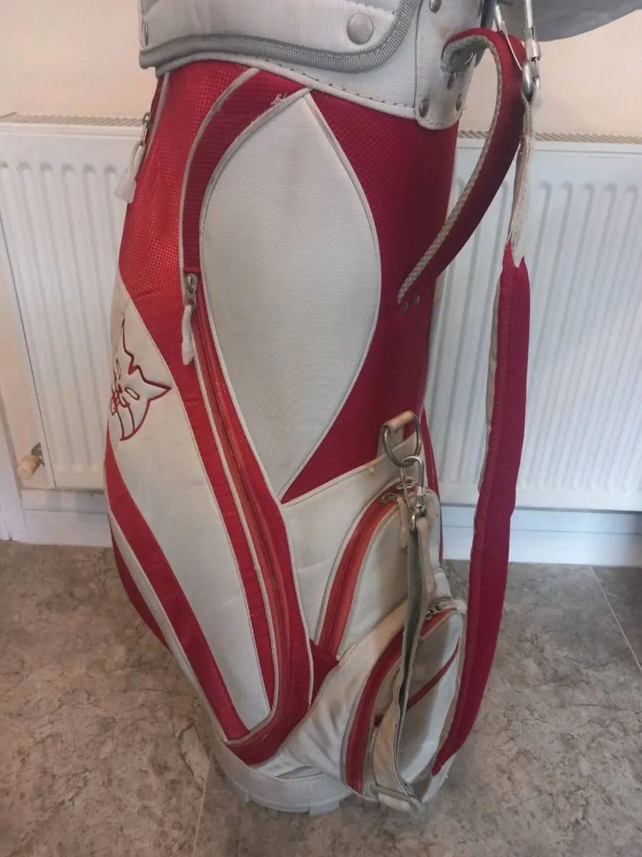 Lynx Golf cart bag. - Image 4