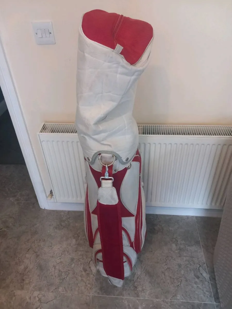 Lynx Golf cart bag. - Image 1