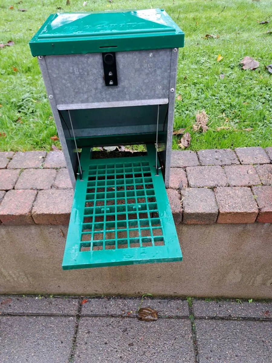 Feedomatic poultry feeder - Image 1