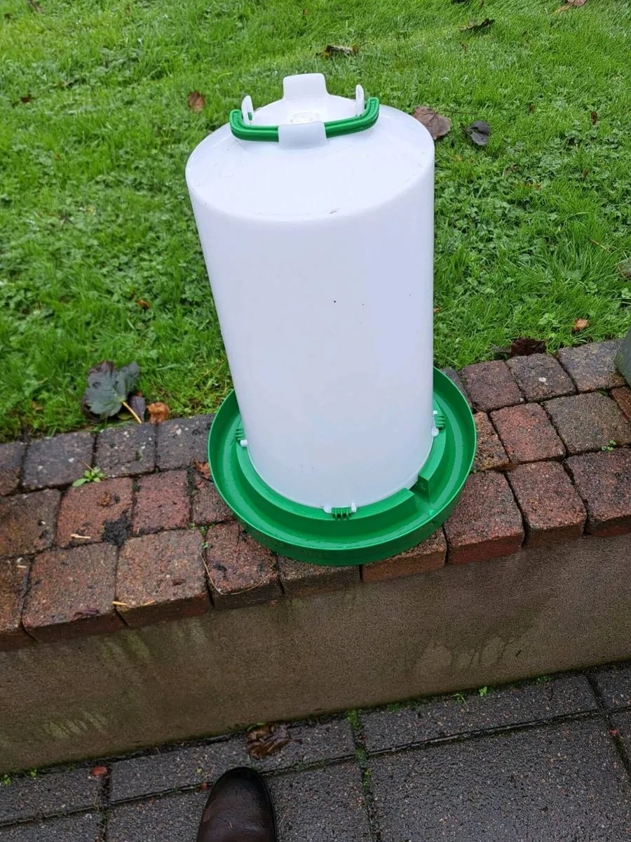 Poultry feeders and drinker - Image 3