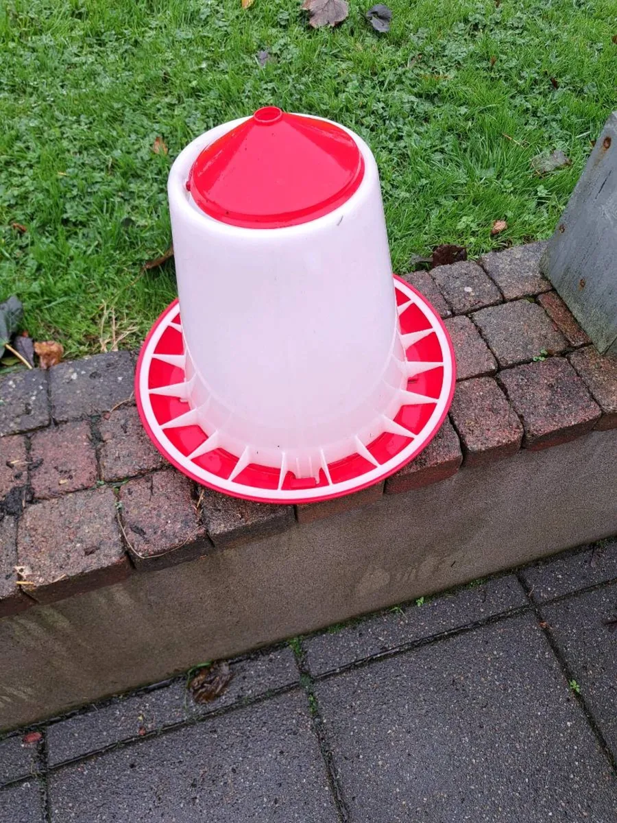 Poultry feeders and drinker - Image 1
