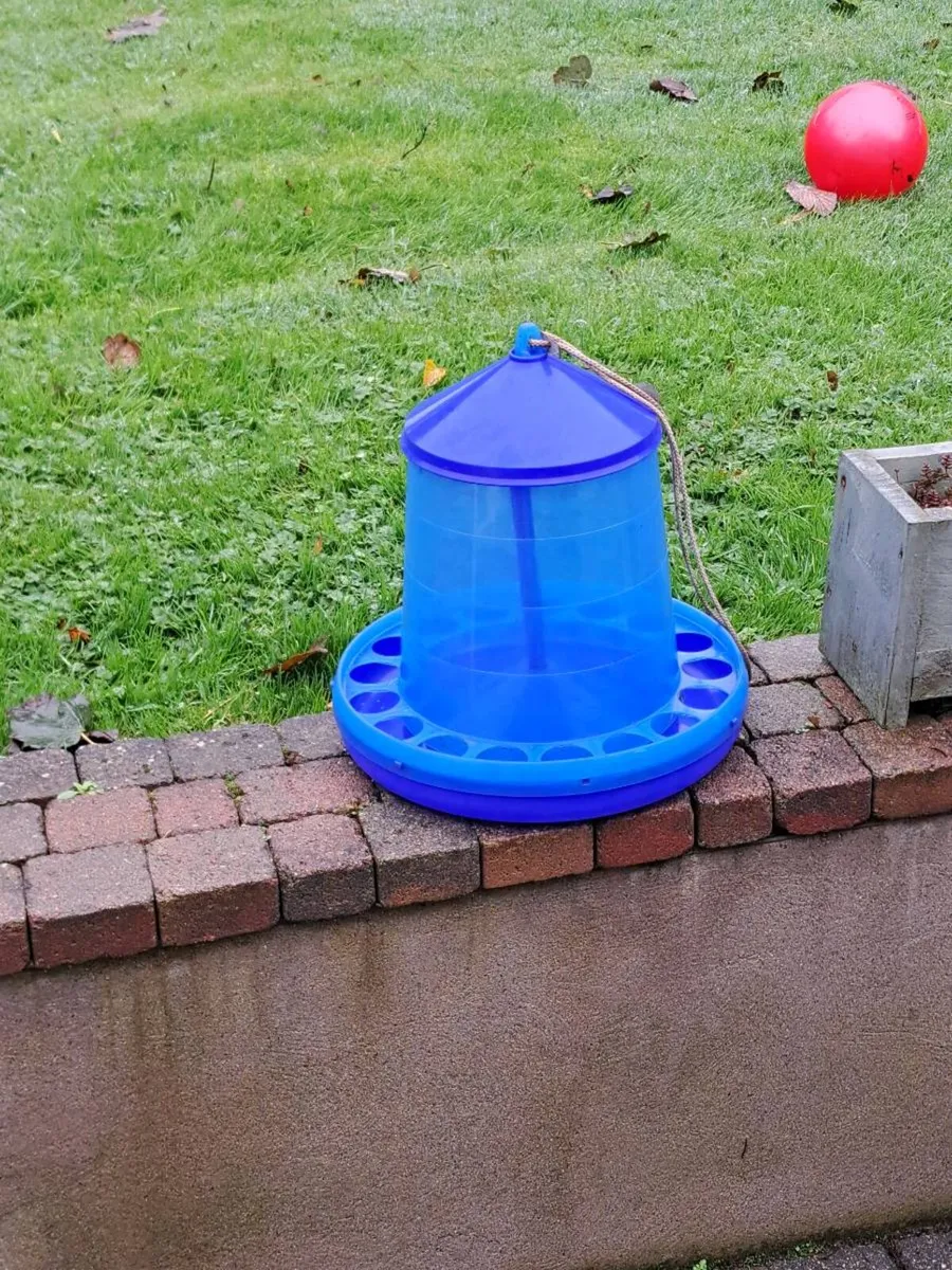Poultry feeders and drinker - Image 2