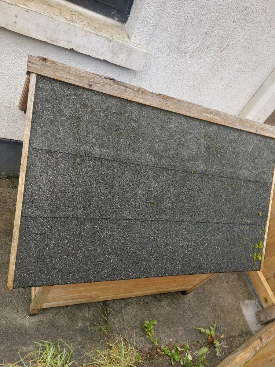 Dog House - Image 3