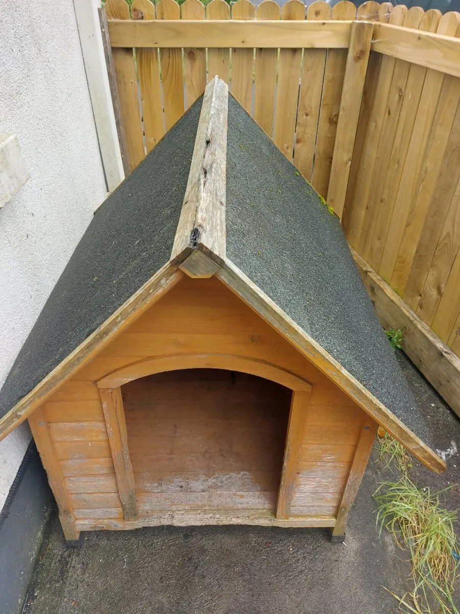 Dog House - Image 4