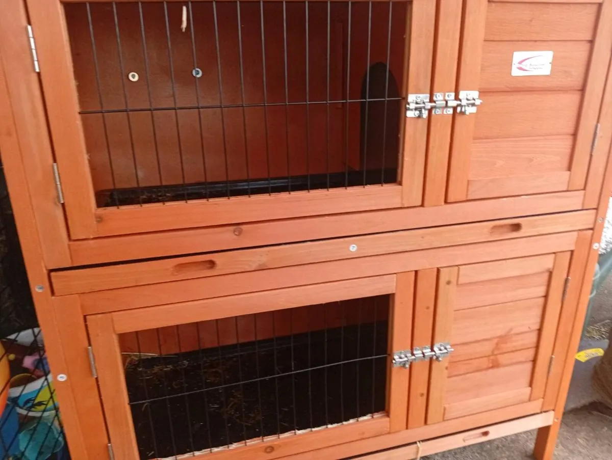 Rabbit hutch - Image 2