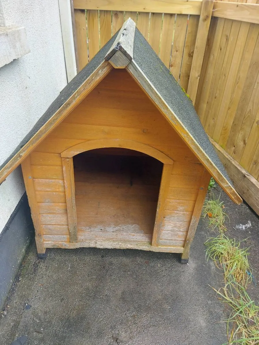 Dog House - Image 1