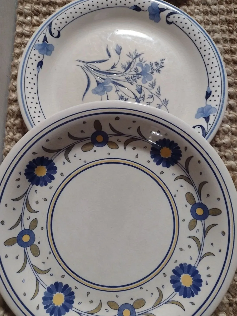 Large dinner plates - Image 3