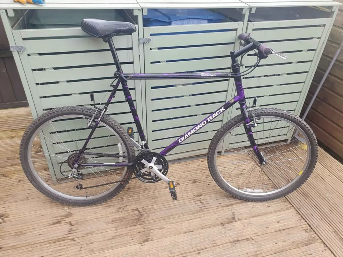 Retro / Vintage Mountain Bikes to Clear - All 23" - Image 4