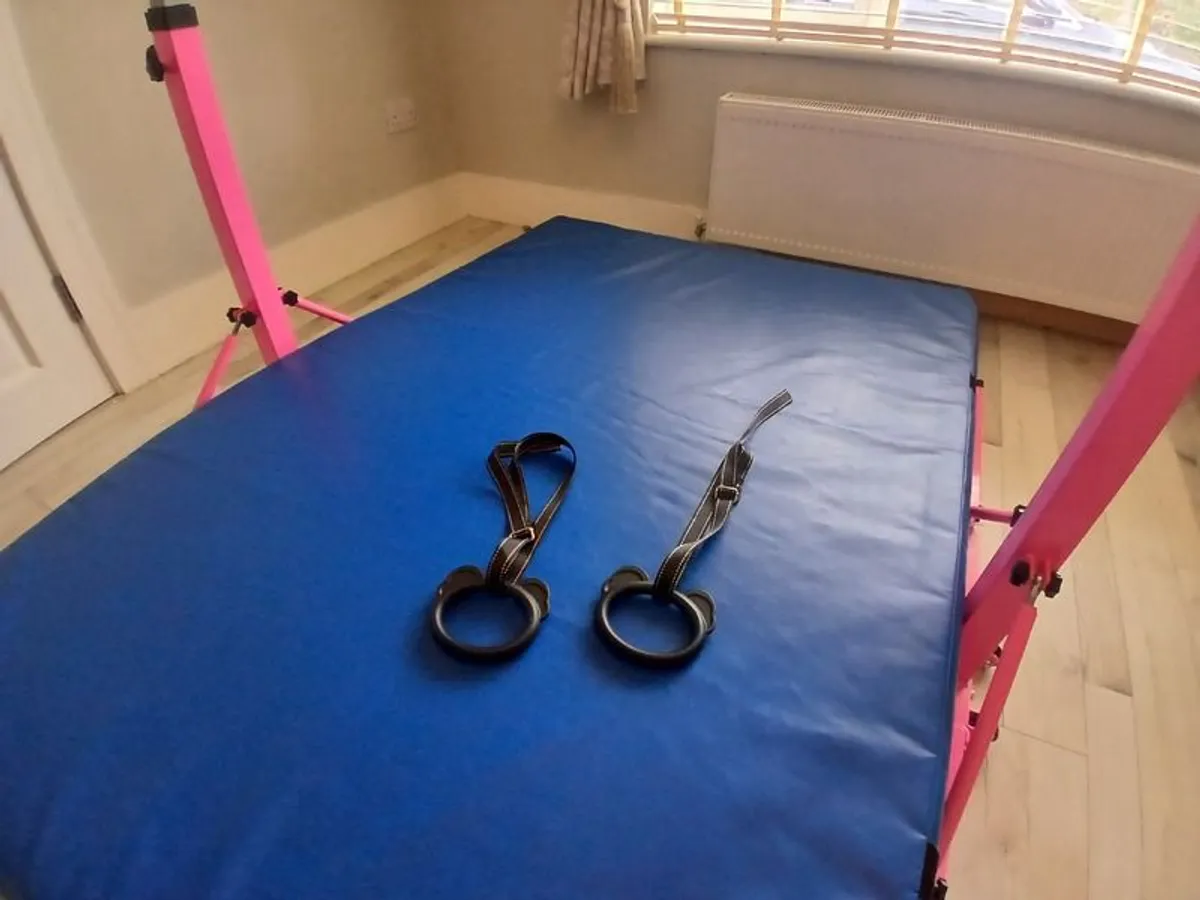 Gymnastics Bar and Mat - Image 4