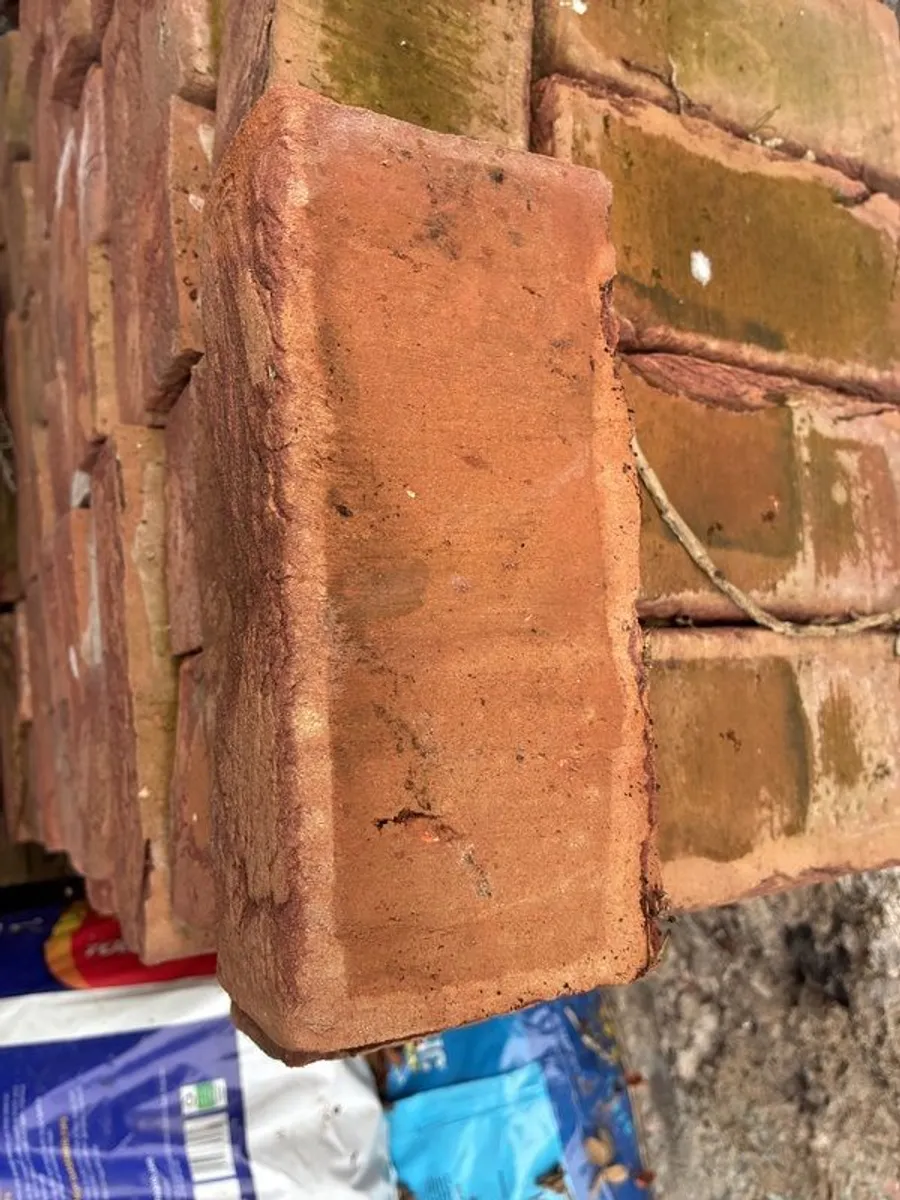 Reclaimed redbrick 140 bricks will accept nearest offer - Image 3