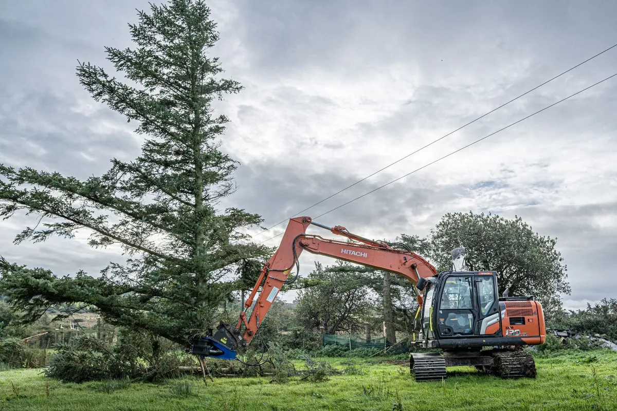 Radial Shear 300/400, Tree Shear - Image 1