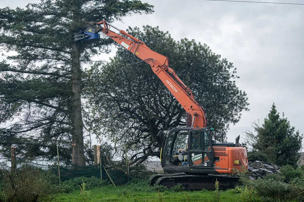 Radial Shear 300/400, Tree Shear - Image 4