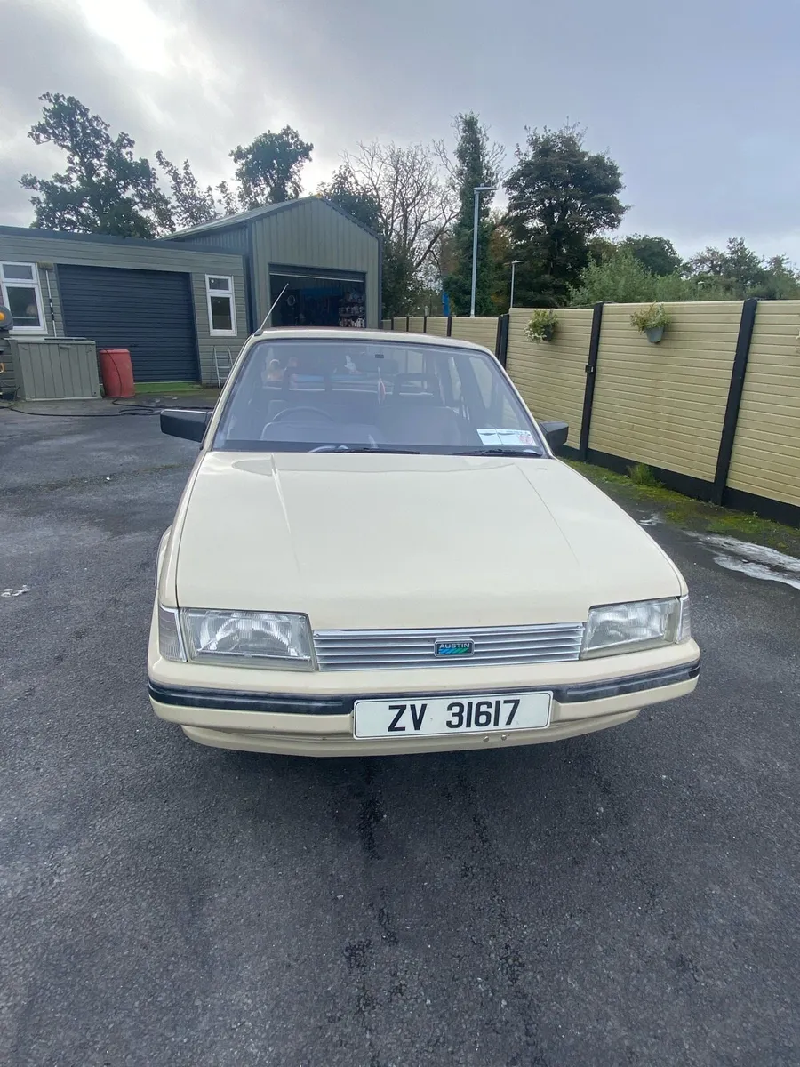 Austin Montego - Image 1