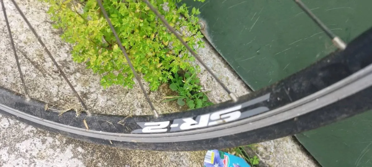 Lafies racing bike - Image 3