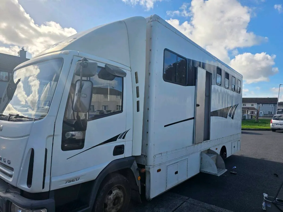 Iveco 4 horse with living - Image 1