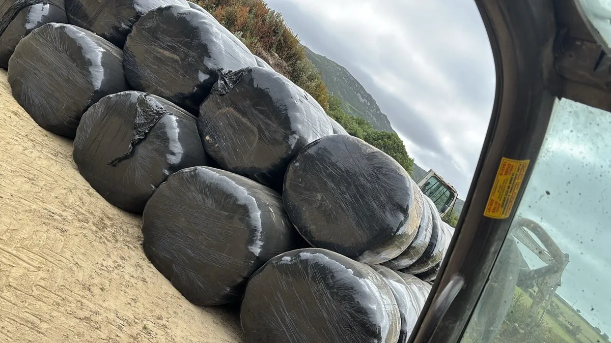 Round bales silage