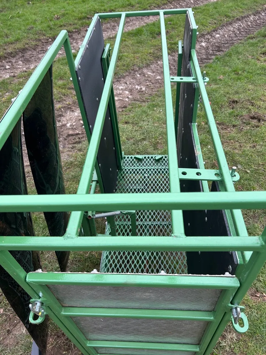Sheep Scanning crate - Image 1
