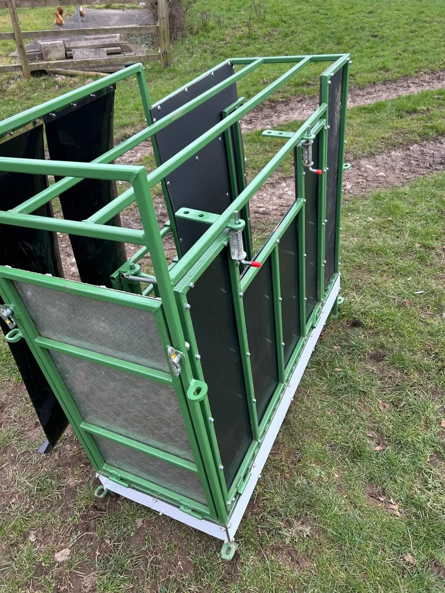 Sheep Scanning crate - Image 2