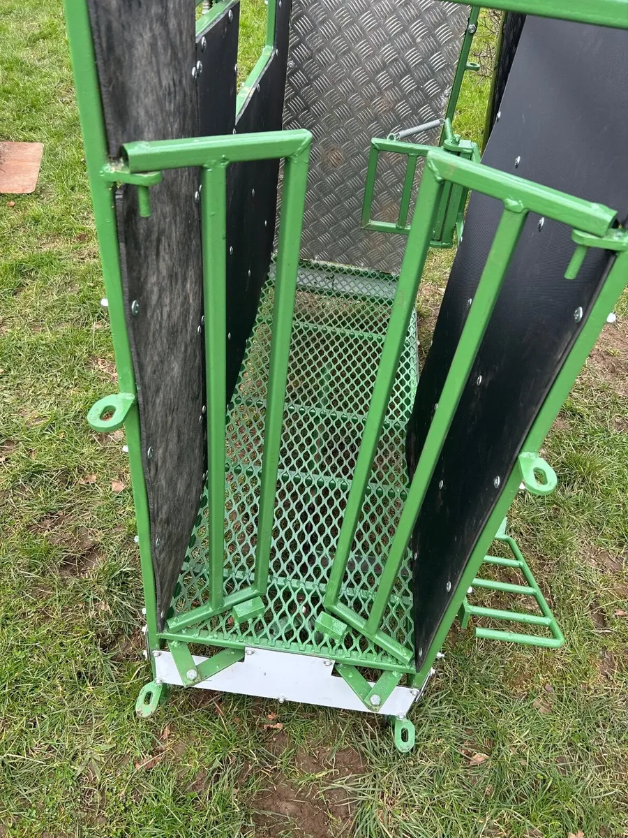 Sheep Scanning crate - Image 4
