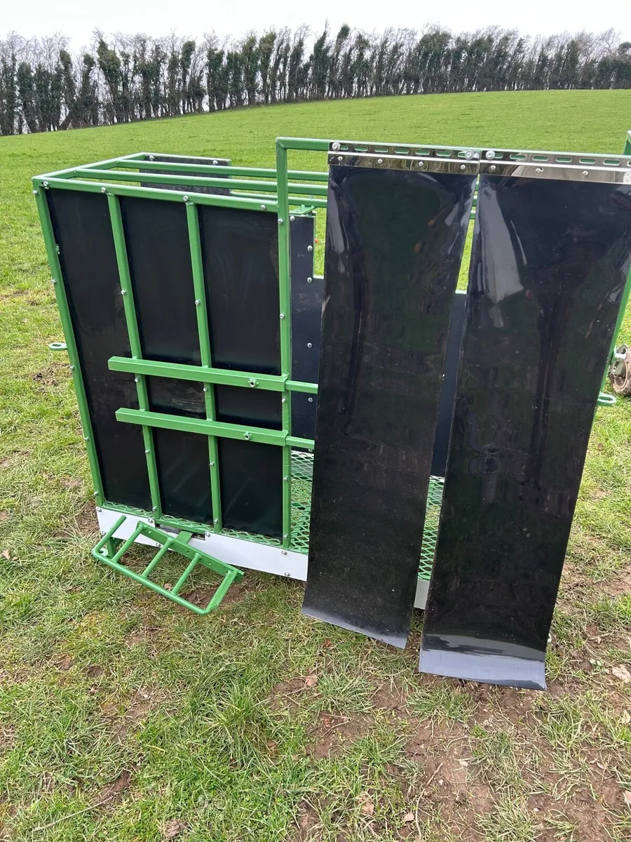 Sheep Scanning crate - Image 3