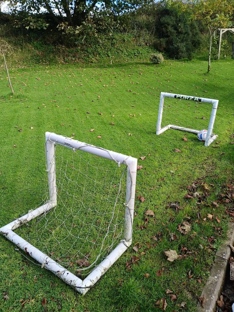Forza football goals - Image 1