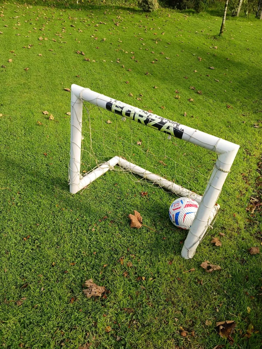 Forza football goals - Image 2