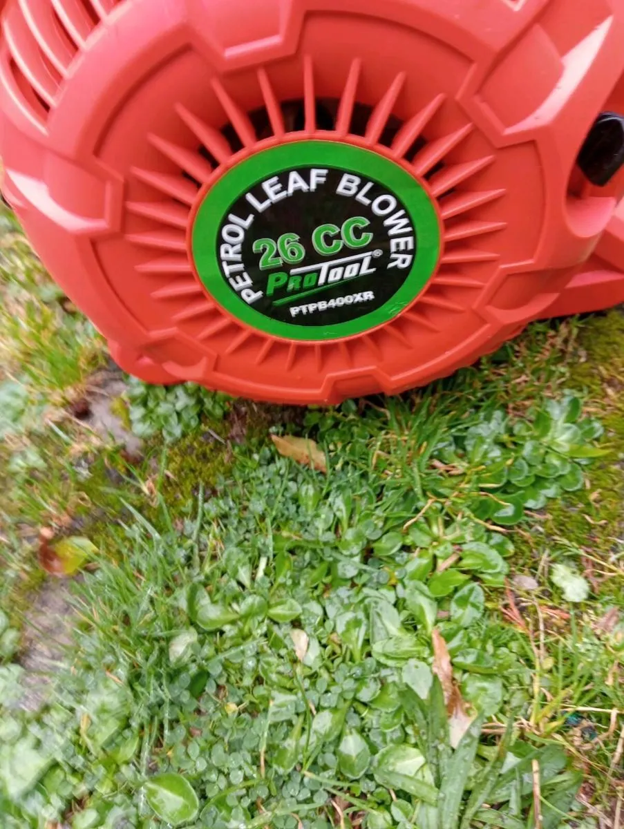 Leaf blower - Image 1