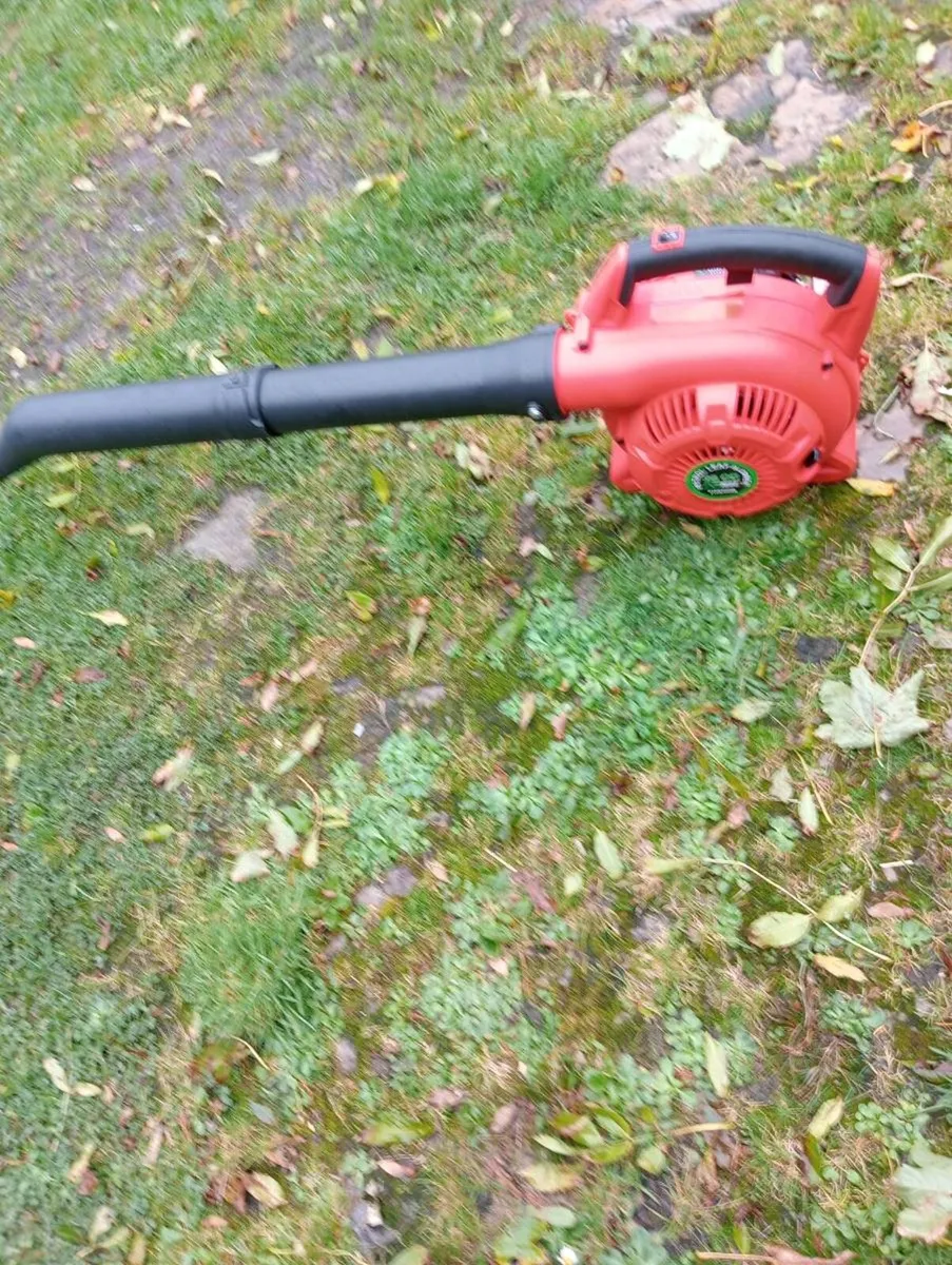 Leaf blower - Image 3
