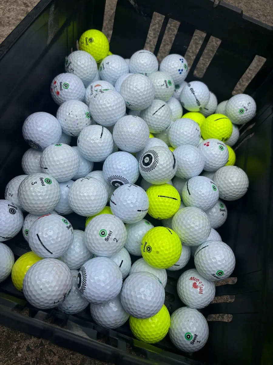 20 Seed Golf Balls - Image 1