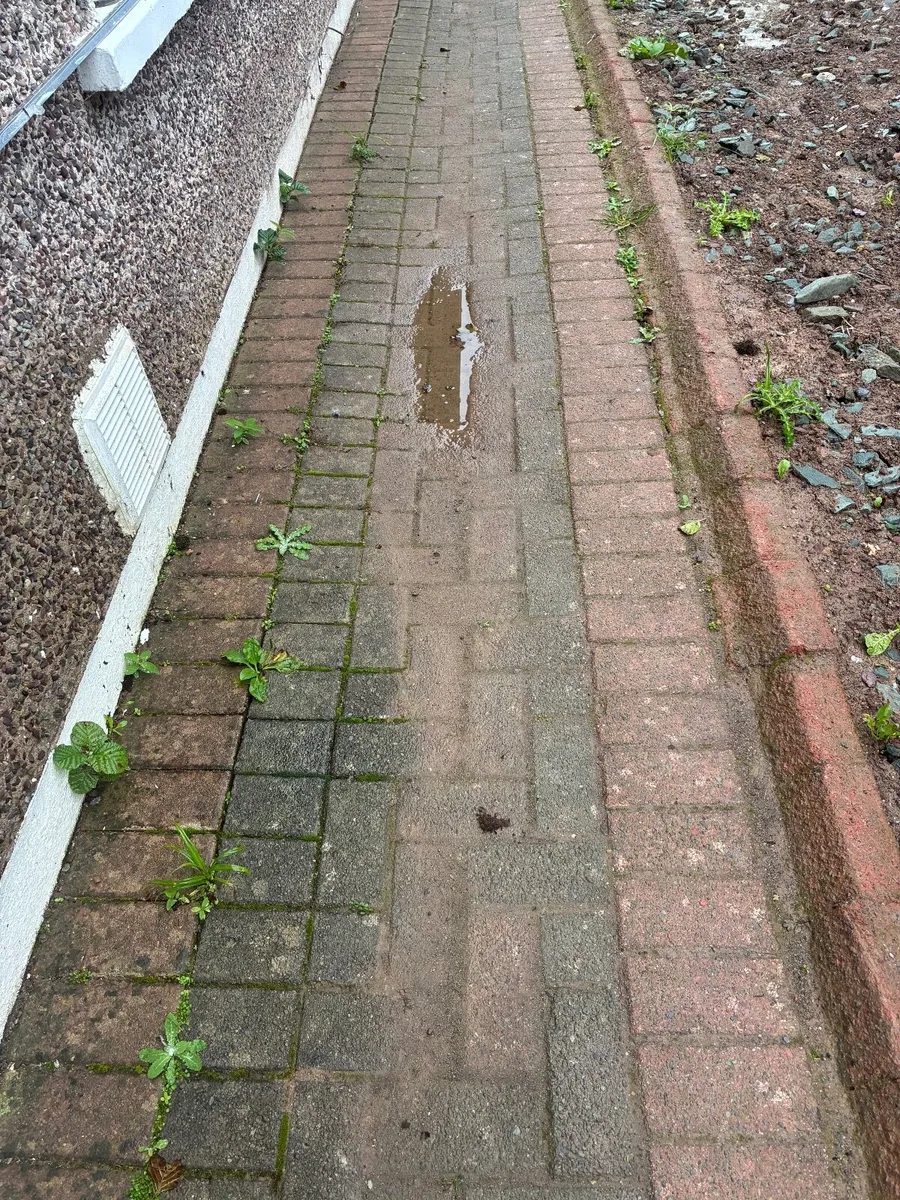 Brick Pavers - Image 4