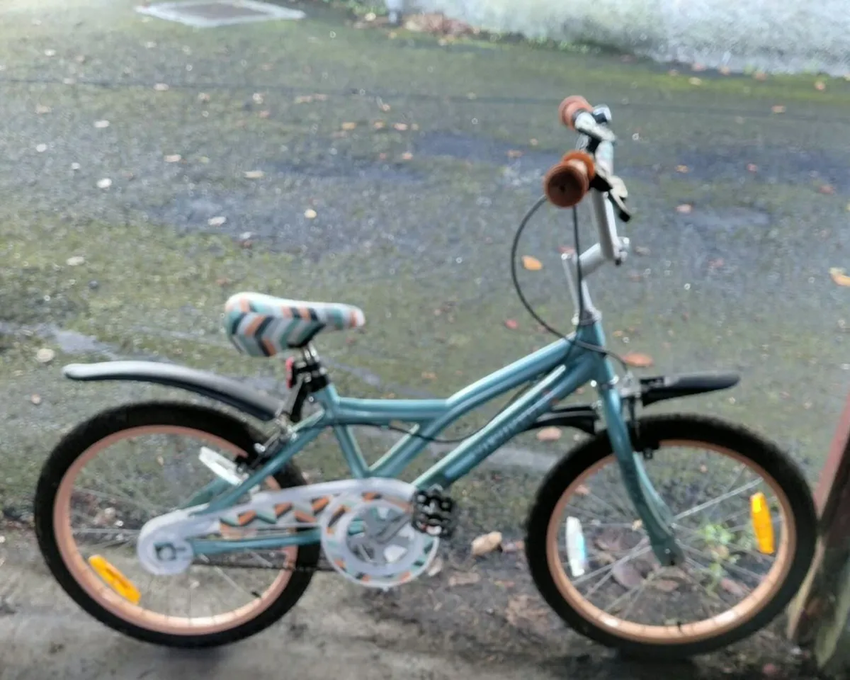Girls 20inch bike