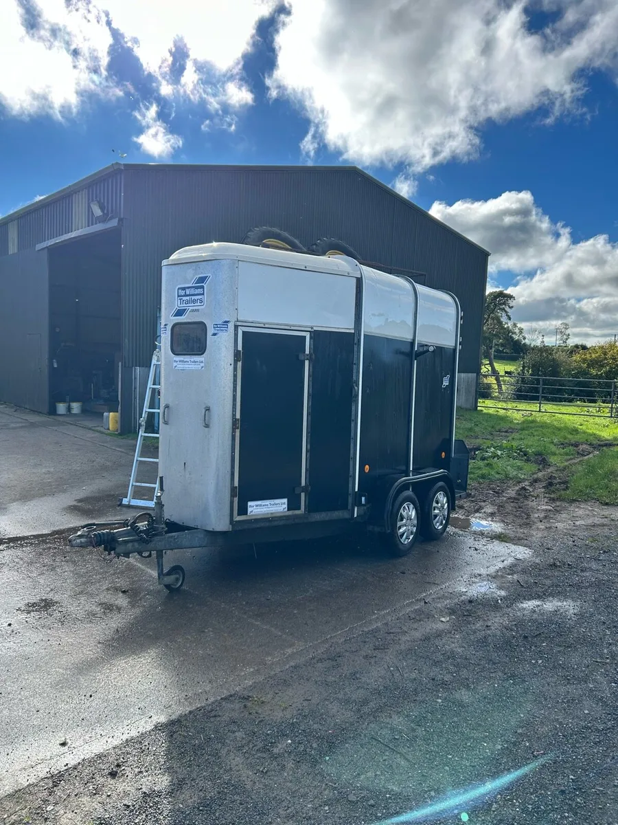 505 iFor Williams Horse Box - Image 2