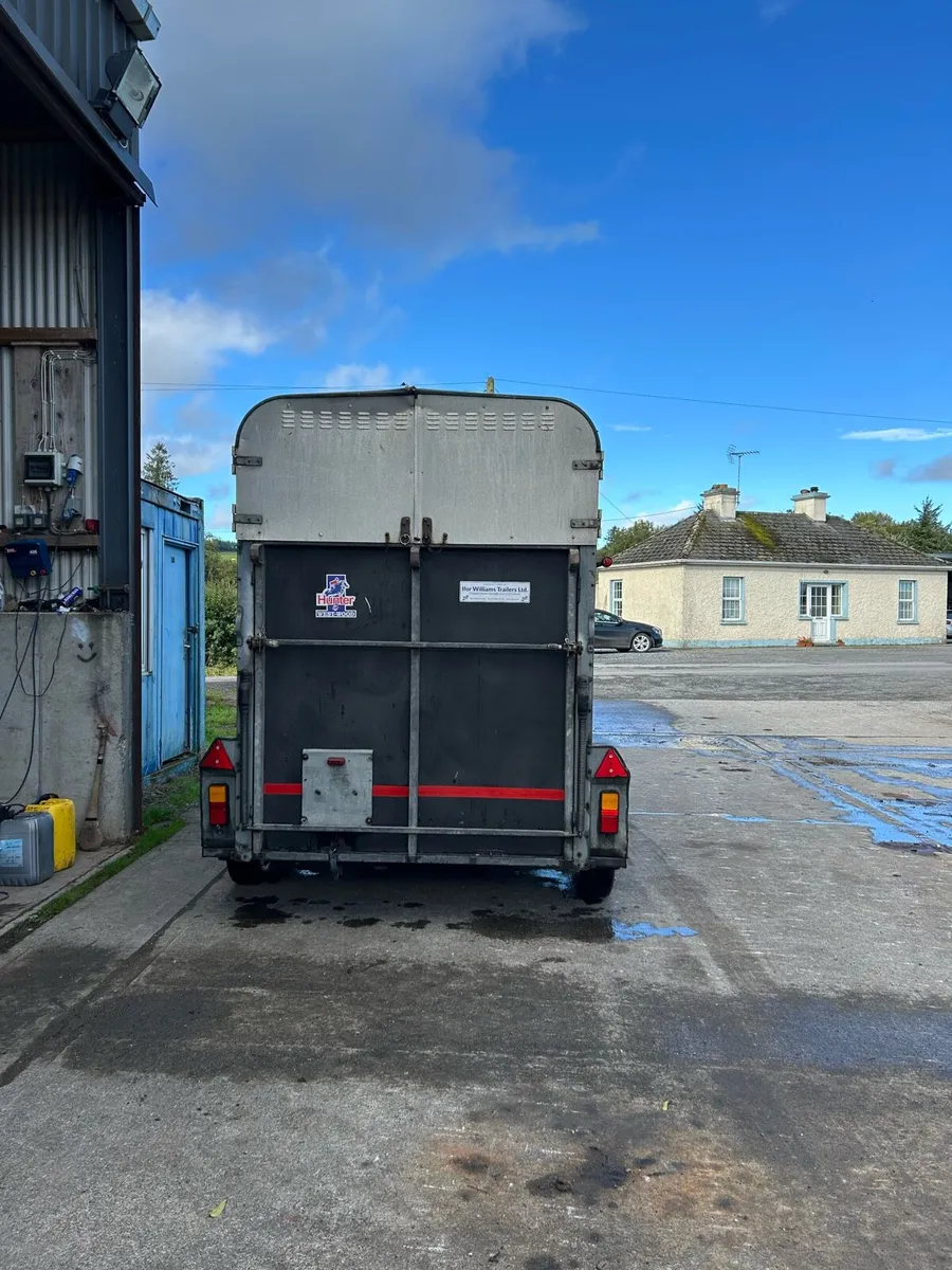 505 iFor Williams Horse Box - Image 3
