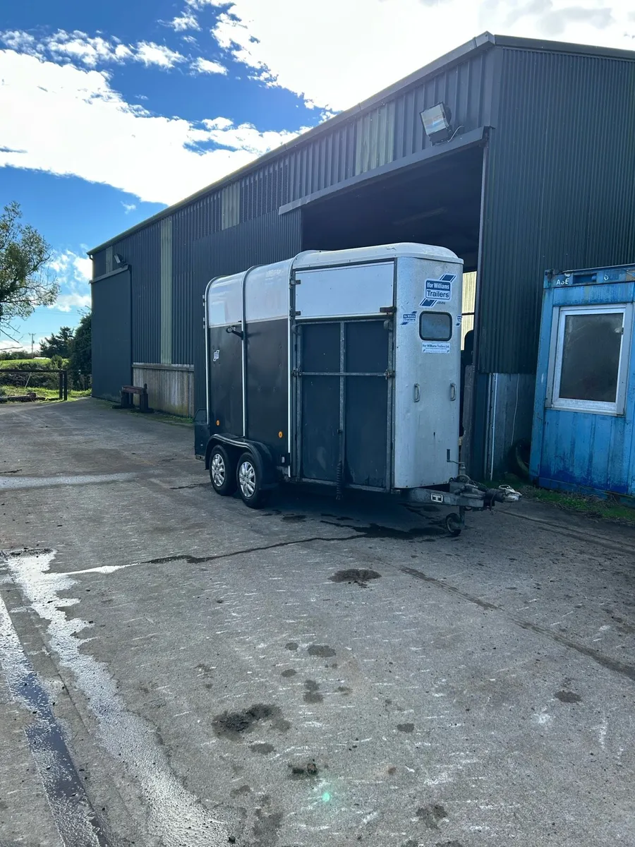 505 iFor Williams Horse Box - Image 4