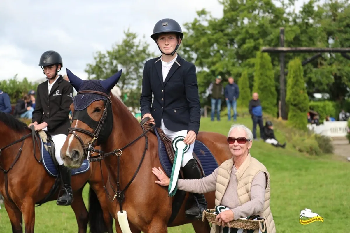 148 COMPETITIVE SJI AND IDEAL ALL-ROUNDER PONY - Image 3